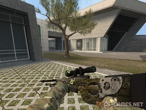 Модель AWP «Worm God с осмотром» для CSS v34