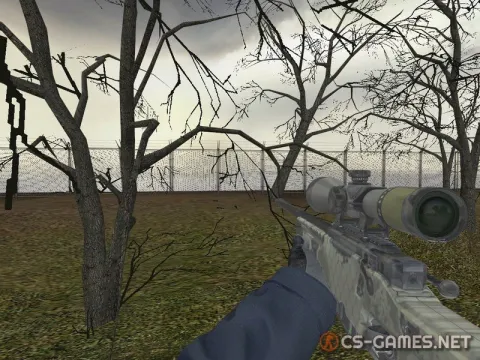 Модель AWP «Safari mesh без осмотра» для CSS v34