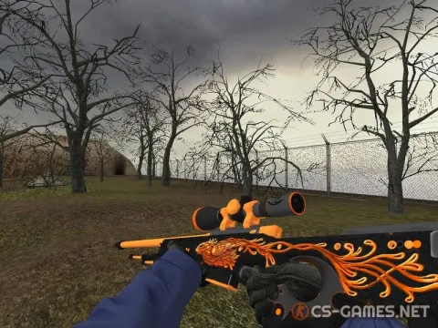 Модель AWP «Phoenix» для CSS v34